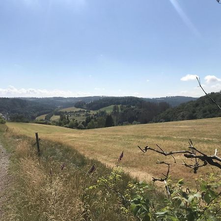 Vila Gluehalm Willingen Willingen  Exteriér fotografie