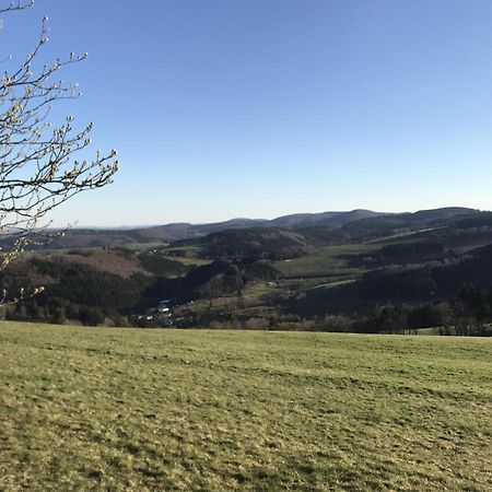 Vila Gluehalm Willingen Willingen  Exteriér fotografie