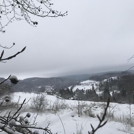 Vila Gluehalm Willingen Willingen  Exteriér fotografie