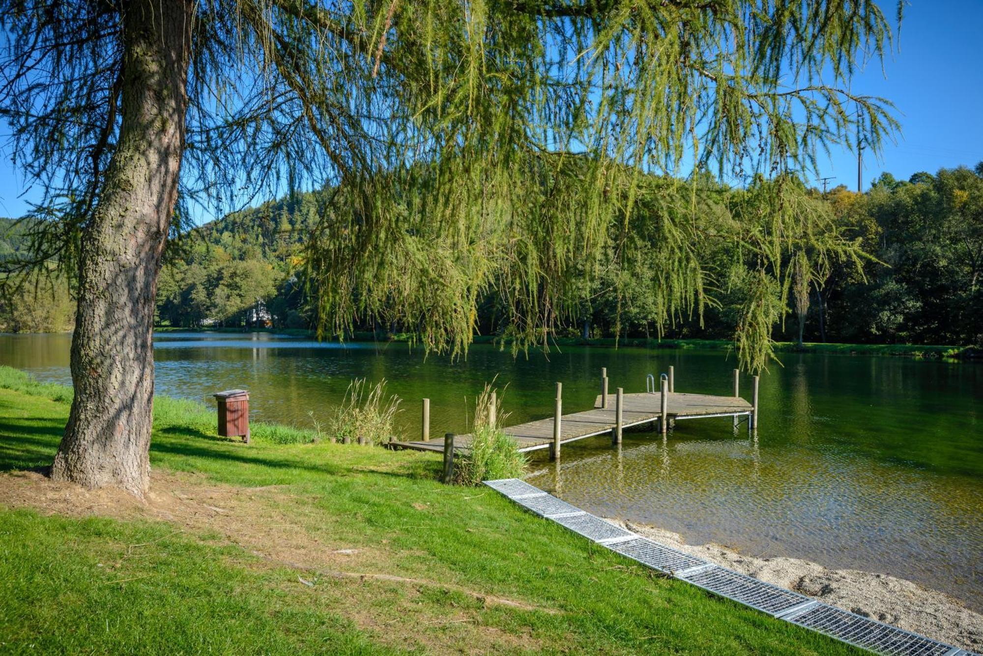 Vila Gluehalm Willingen Willingen  Exteriér fotografie