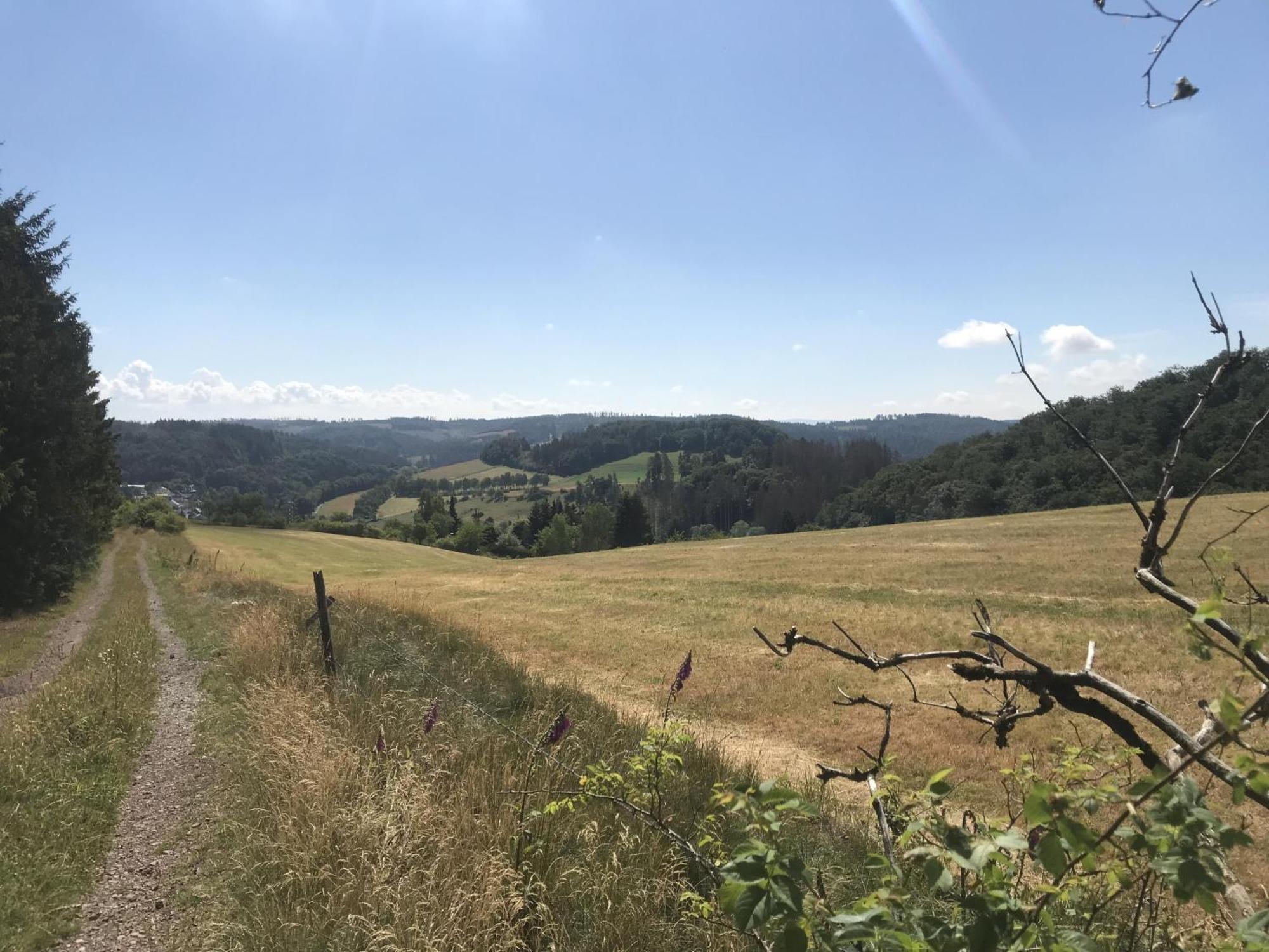 Vila Gluehalm Willingen Willingen  Exteriér fotografie