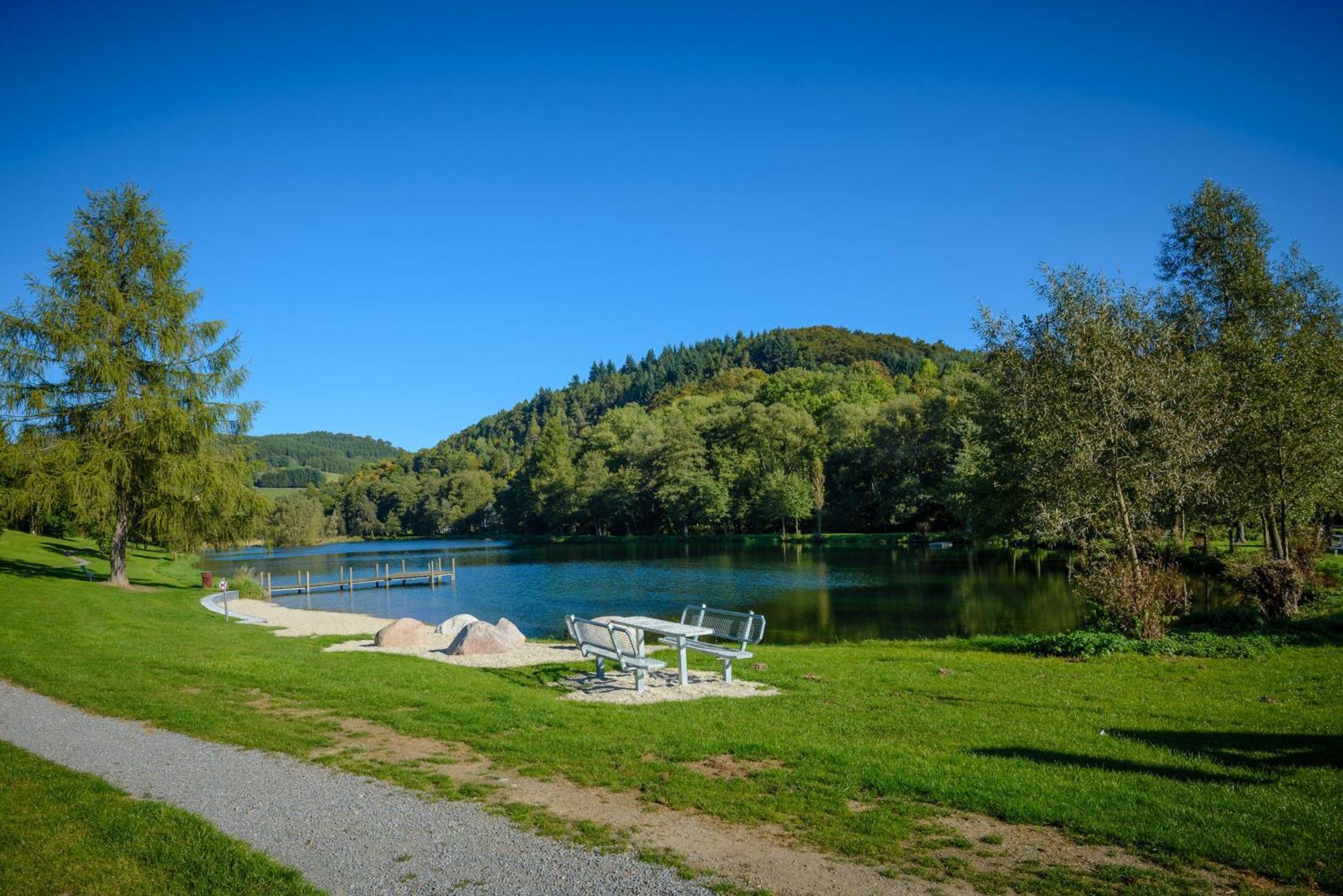 Vila Gluehalm Willingen Willingen  Exteriér fotografie