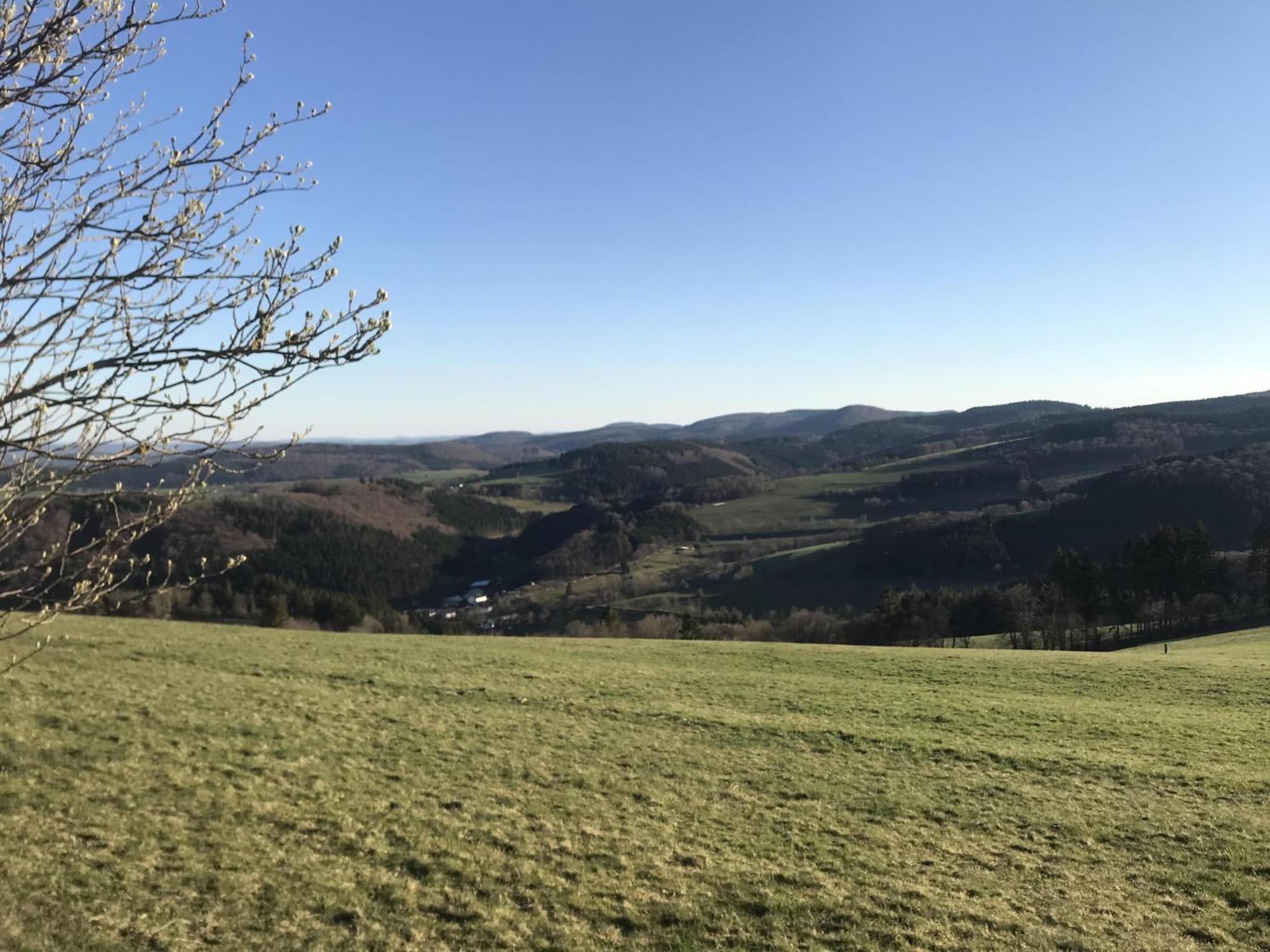 Vila Gluehalm Willingen Willingen  Exteriér fotografie