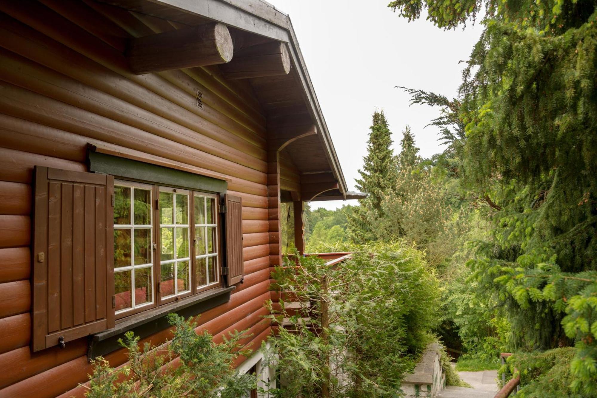 Vila Gluehalm Willingen Willingen  Exteriér fotografie