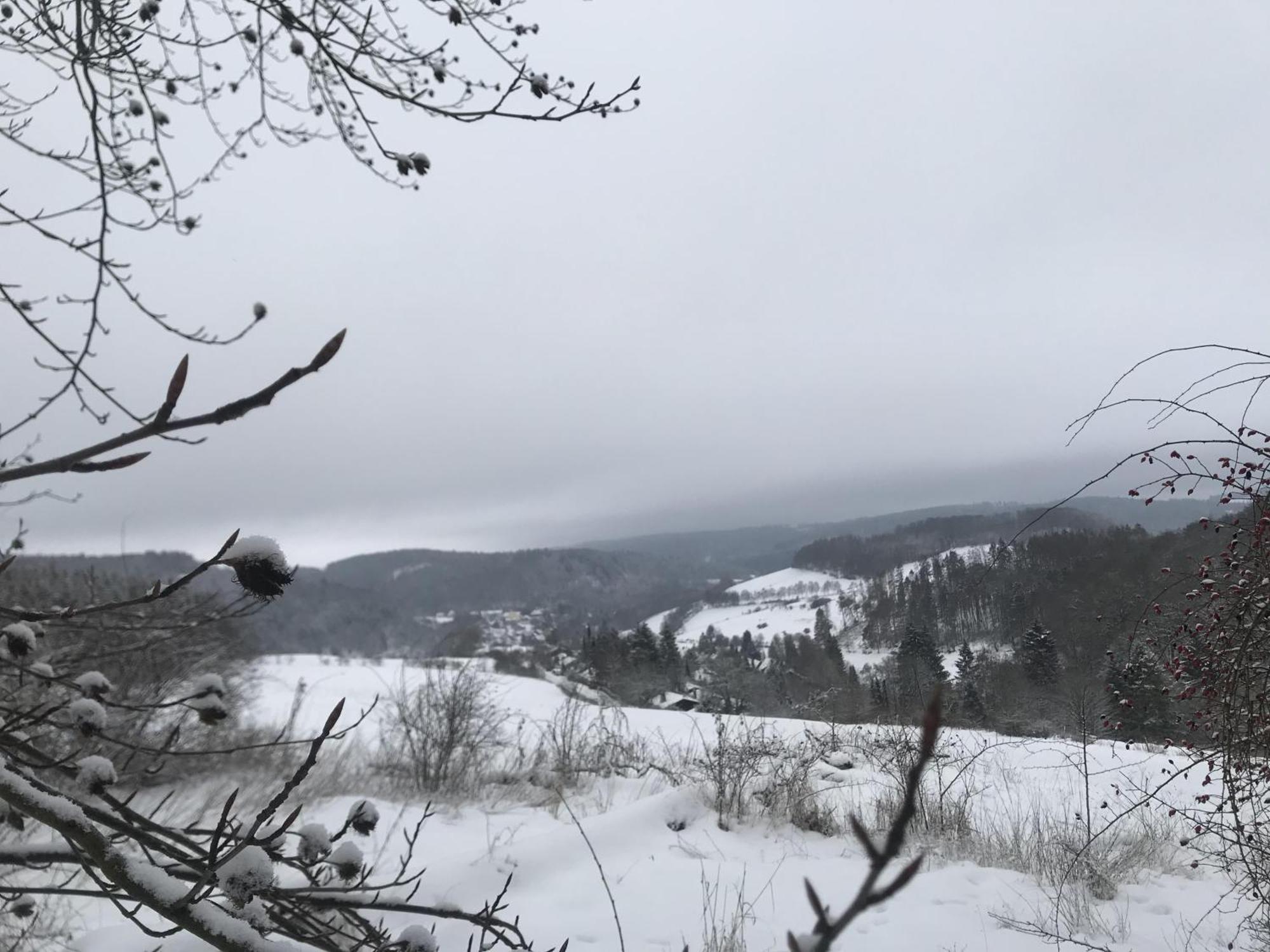 Vila Gluehalm Willingen Willingen  Exteriér fotografie