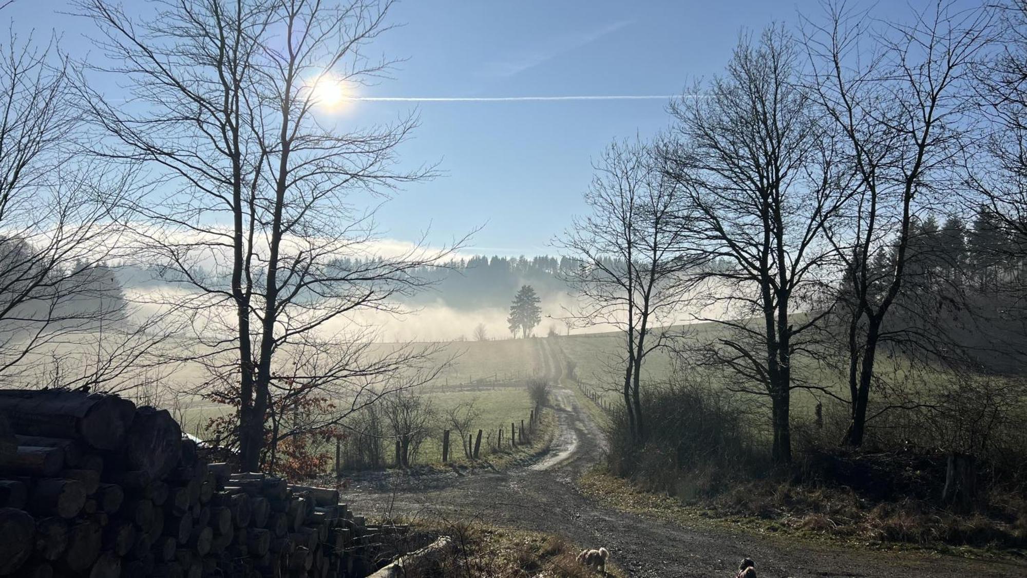 Vila Gluehalm Willingen Willingen  Exteriér fotografie