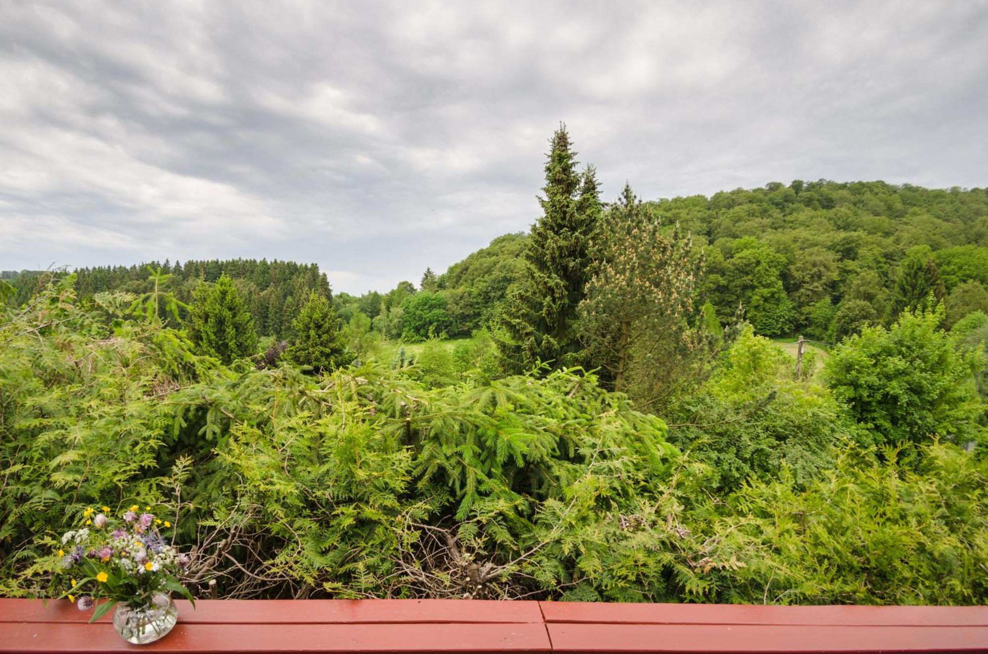 Vila Gluehalm Willingen Willingen  Exteriér fotografie