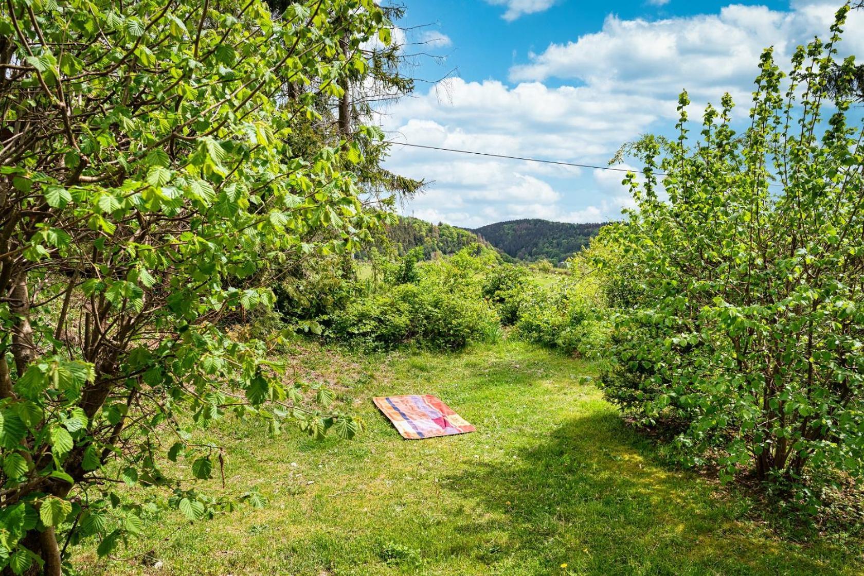 Vila Gluehalm Willingen Willingen  Exteriér fotografie